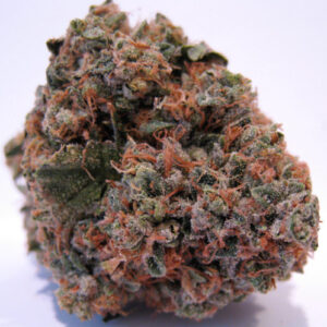 Buy Grand Daddy Purple Kush in Zanzibar